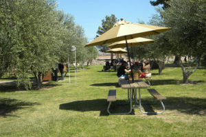 Eating in the grove