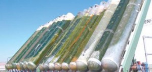 Utility, Mass. firm win award for work on energy process 