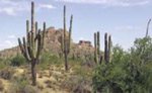 San Tan park plan approved by county board 