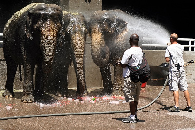 Ringling Bros. and Barnum and Bailey Circus