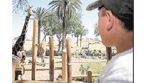 Phoenix Zoo ranks high in kid appeal 