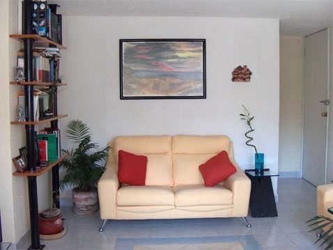 New Year's resolutions for the home 