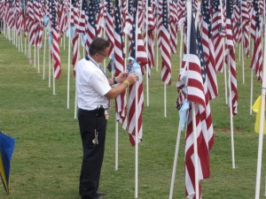Healing Field