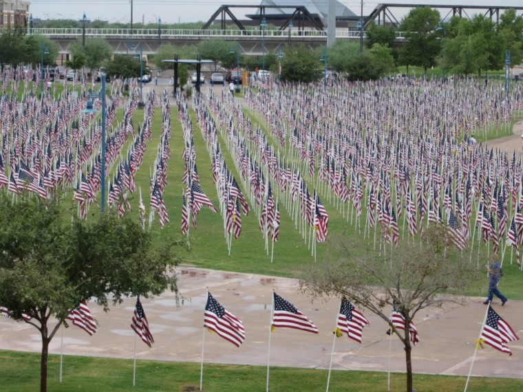 Healing Field