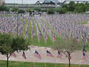 Healing Field