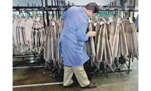 Fur trade back in business, scandal 