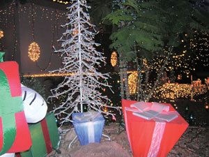 Local contest lights up the town 