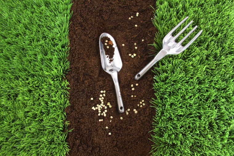 Home and Garden
