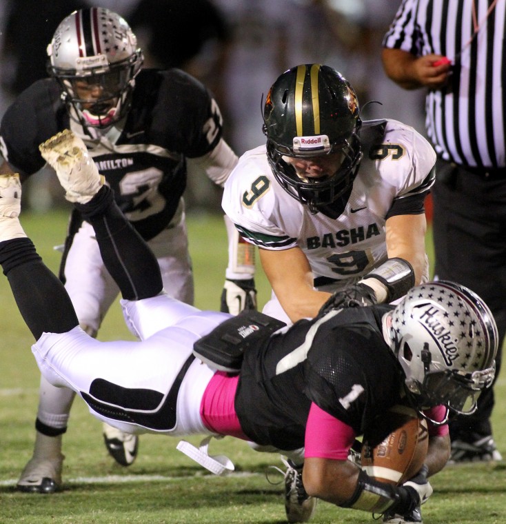 Basha at Hamilton