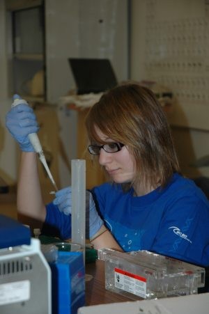 Mesa students' project seeks to save rare frogs 
