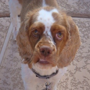 Charles