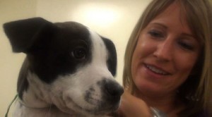 Animal sterilization law in effect 