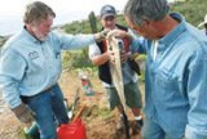 Nonprofit poised for a big year of conservation 