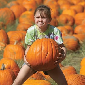 Halloween pumpkins