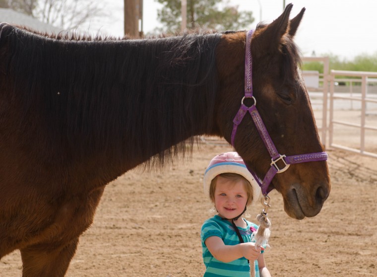 Equine Therapy