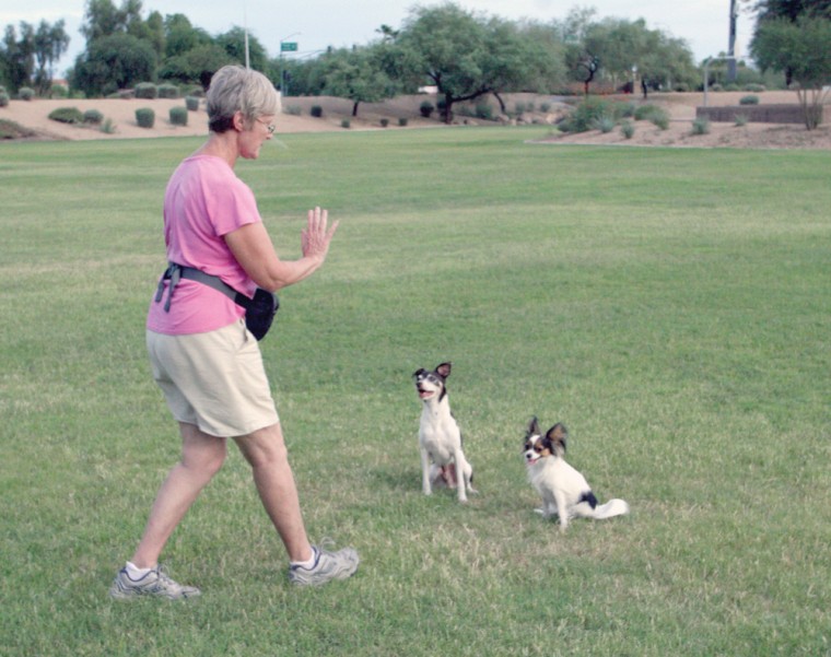 Dog training techniques