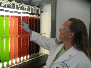 From algae to fuel