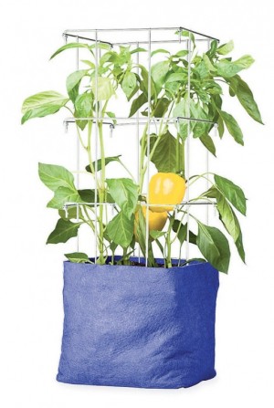 Downsizing gardening containers