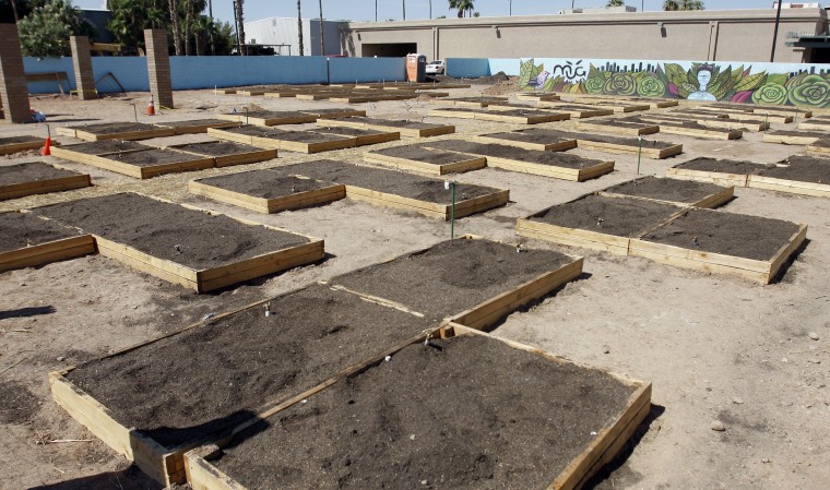 Mesa Urban Garden