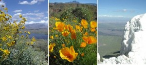 Hiking 'bingo!': '60 Hikes Within 60 Miles' 