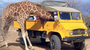 Central Arizona has many fun attractions 