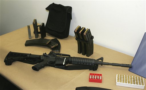 Border gun checks