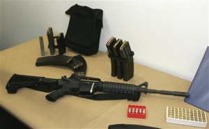 Border gun checks