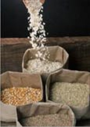 Today’s whole grains are tasty, as well as healthy 