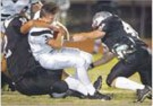 Huskies top dogs no more 