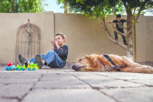 Service Dog