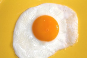Egg