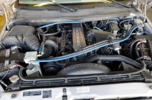 Motorists convert engines to use vegetable oil 