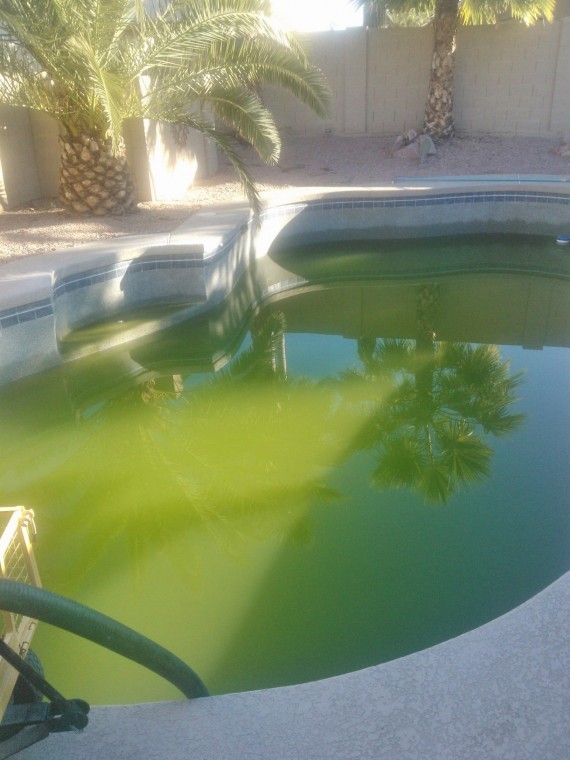 Dirty pools