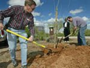 Rotary International marks its centennial 