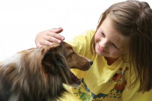 Animal camps