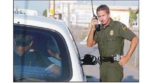 Illegal entry tops crime list 