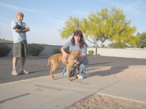 Maricopa County Animal Care and Control