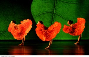 MOMIX