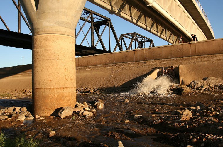 2010 review in photos