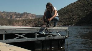 Agencies warn boaters about mussels 