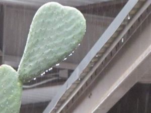 Record Rain