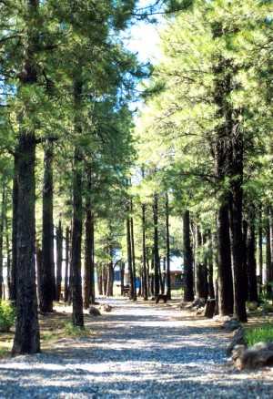 The Arboretum at Flagstaff