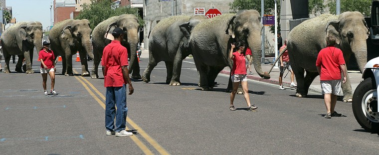 Ringling Bros. and Barnum and Bailey Circus