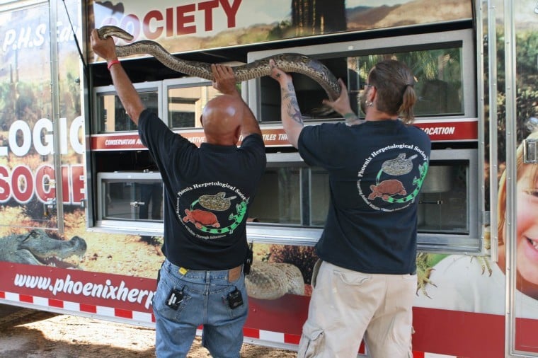 Reptile rescue