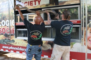 Reptile rescue