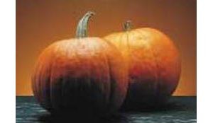 Halloween festivals sprout in Arizona 