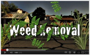 Screen Capture: City of Tempe Weed Removal Video 