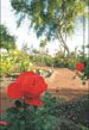 Desert roses rising 