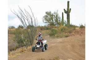 Tonto Forest rules flouted 