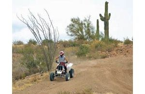 Tonto Forest rules flouted 